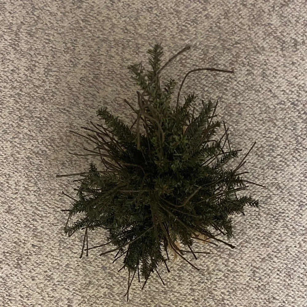 Small Burlap-Base Mini Christmas Tree - Green Holiday Accent
